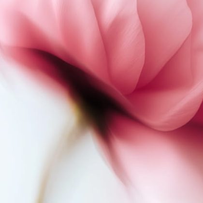 blog4 (1) (1)