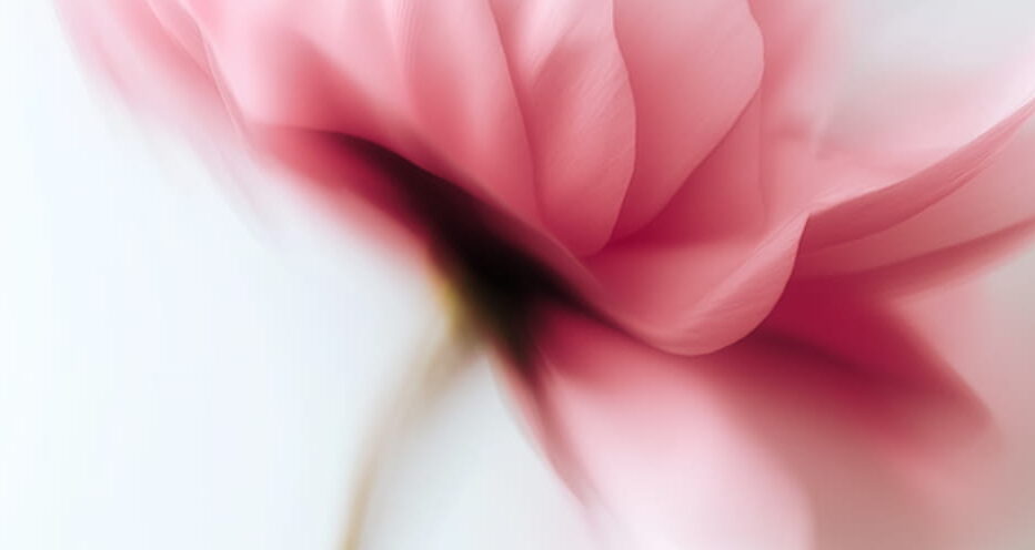 blog4 (1) (1)