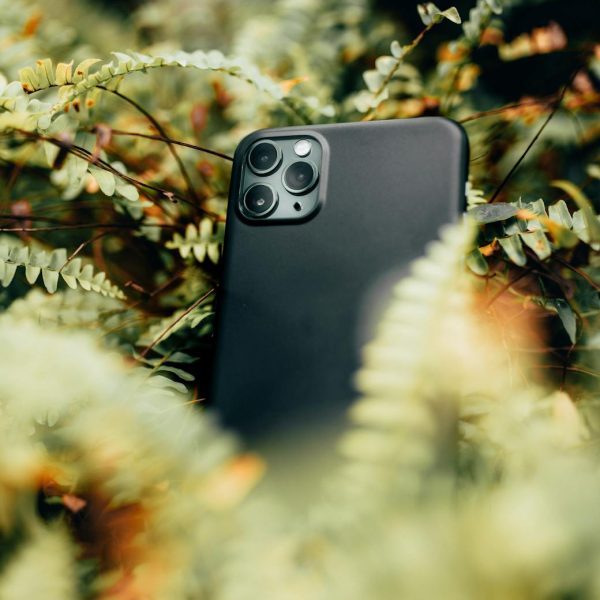 phone